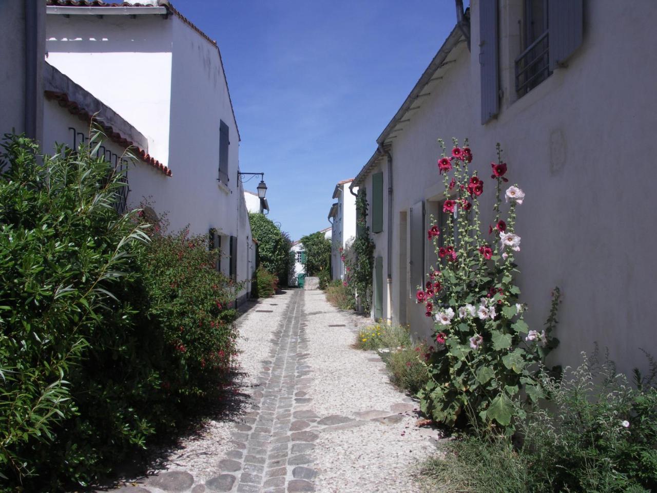 Appartement Liseron Saint-Martin-de-Ré 외부 사진
